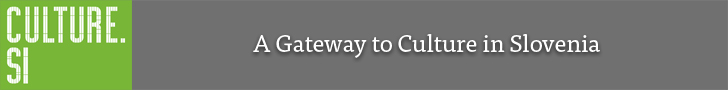 File:Culture.si footer 728x90 gray.jpg
