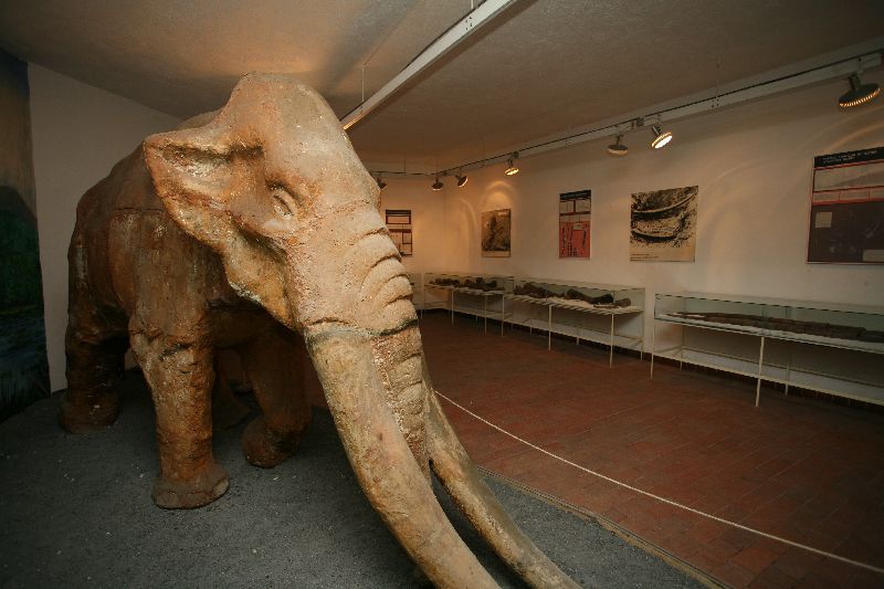 File:Velenje Museum 2007 Mastodon.jpg