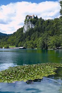 <!--LINK'" 0:103--> is the oldest castle in Slovenia. Medieval documents refer to Bled with its German name Veldes, first mentioned in a 22 May 1011 deed of donation issued by (German) Emperor Henry II in favour of the Bishops of Brixen. 2004