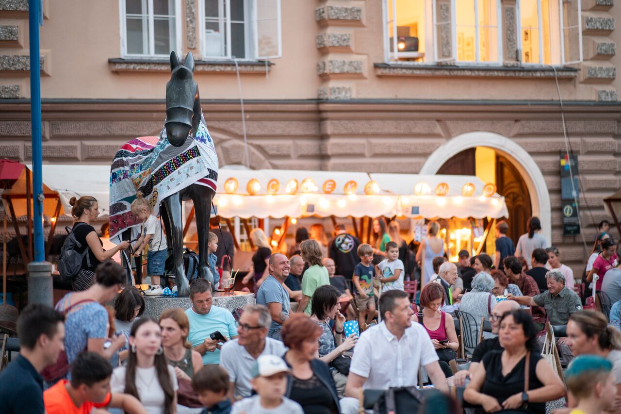 File:4ZEBRAFilmFestival-jul2024-foto-Aljaz-Ursej.jpg