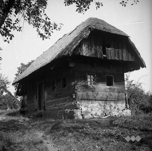 Štenova kajža, Grm, 1950. From the collection of <!--LINK'" 0:197-->