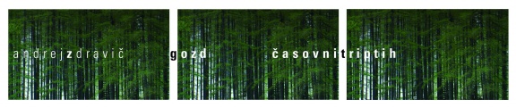 Andrej Zdravič's The Forest – Time Triptych film installation, The Larches, Antara, 2011