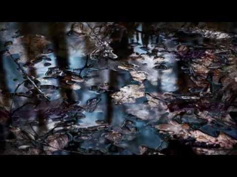PureH - Raintrap (World Listening Day / Festival Natures)